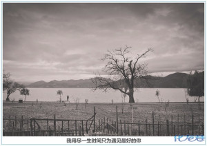 登录/注册后可看大图
