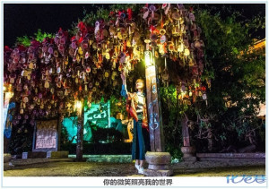 登录/注册后可看大图