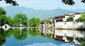 登录/注册后可看大图