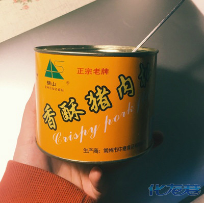 闺蜜家4岁小孩天天吃肉松搭粥!感觉小孩吃多了