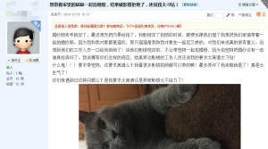 登录/注册后可看大图