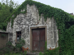 登录/注册后可看大图