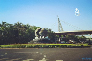 登录/注册后可看大图
