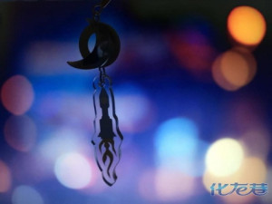 登录/注册后可看大图