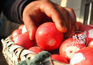 登录/注册后可看大图