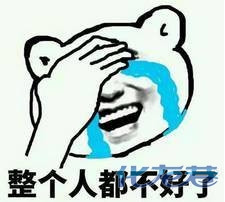 登录/注册后可看大图