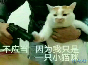 登录/注册后可看大图