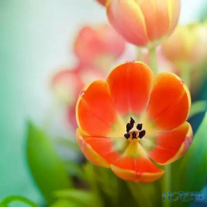 登录/注册后可看大图