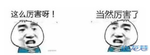 登录/注册后可看大图