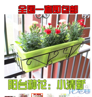 登录/注册后可看大图