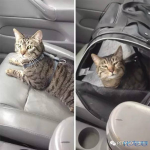 登录/注册后可看大图