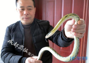 登录/注册后可看大图