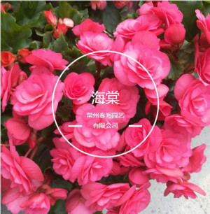 登录/注册后可看大图