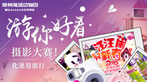 登录/注册后可看大图
