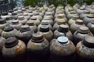 登录/注册后可看大图