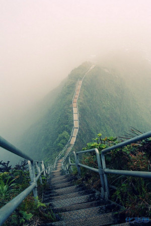 登录/注册后可看大图