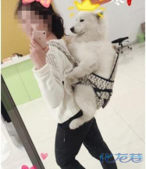 登录/注册后可看大图