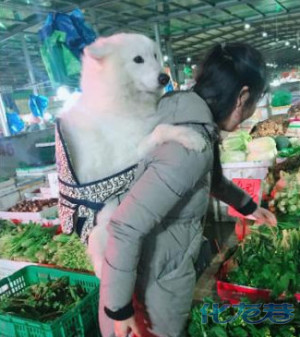 登录/注册后可看大图