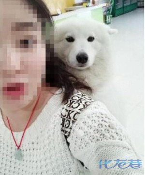 登录/注册后可看大图