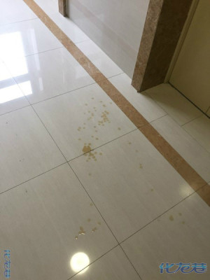 龙湖如此邻居,公摊面积当自家田埂,直接在过道