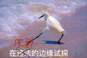 登录/注册后可看大图