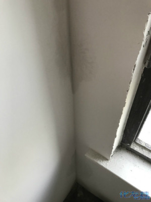 登录/注册后可看大图