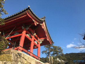 登录/注册后可看大图