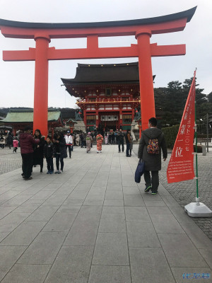 登录/注册后可看大图