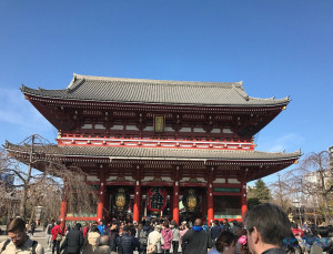 登录/注册后可看大图