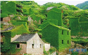 登录/注册后可看大图