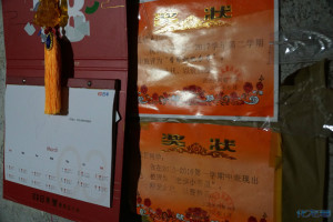登录/注册后可看大图