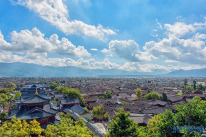 登录/注册后可看大图