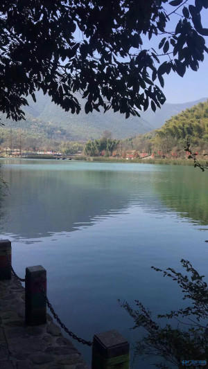 登录/注册后可看大图