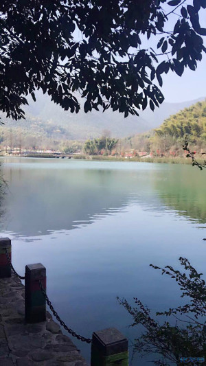 登录/注册后可看大图