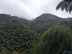 登录/注册后可看大图