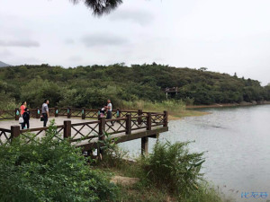 登录/注册后可看大图