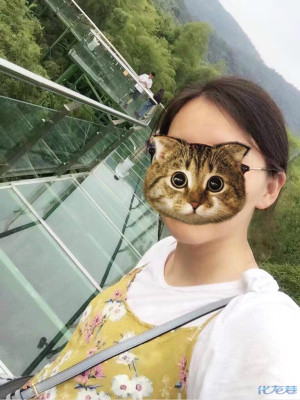 登录/注册后可看大图