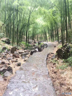 登录/注册后可看大图