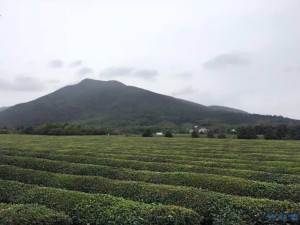 登录/注册后可看大图