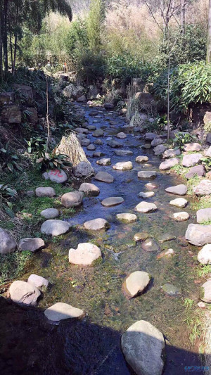 登录/注册后可看大图