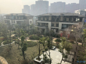 登录/注册后可看大图