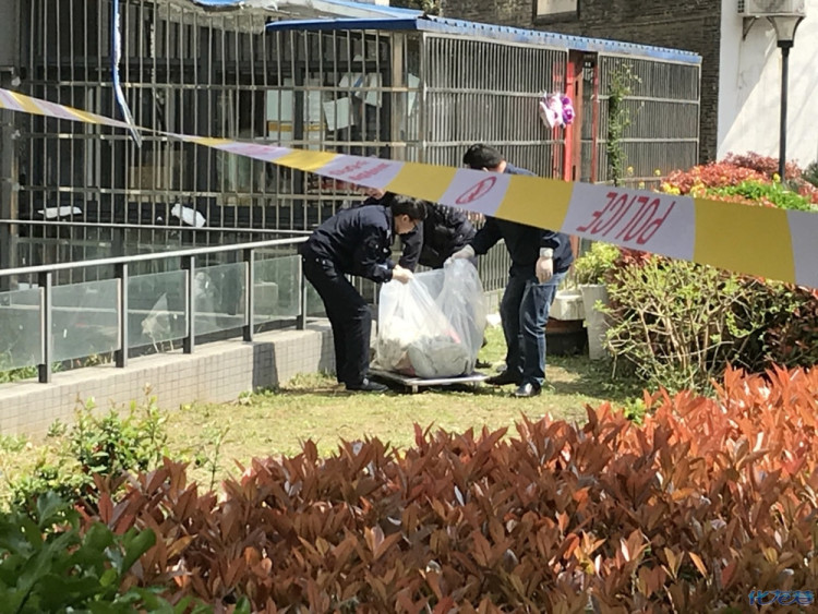 29号更新:今早青山湾小区一30多岁女子坠楼身亡!具体