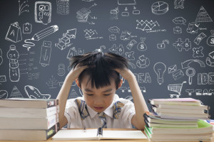 登录/注册后可看大图