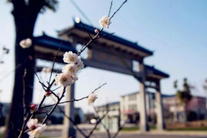 登录/注册后可看大图