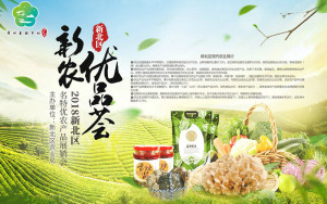 登录/注册后可看大图