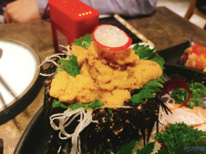登录/注册后可看大图