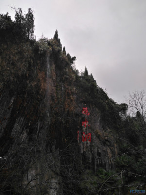 登录/注册后可看大图