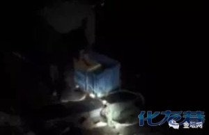 登录/注册后可看大图