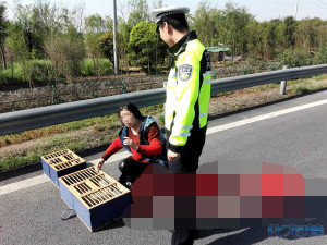 登录/注册后可看大图