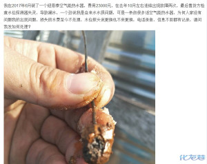 登录/注册后可看大图